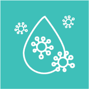 Hematology & Blood Cancer