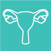Gyn-Onc