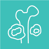 Myelodysplastic Syndrome