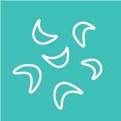 Sickle Cell